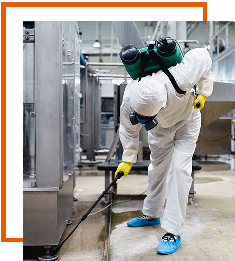 Disinfestazioni Paderno Dugnano